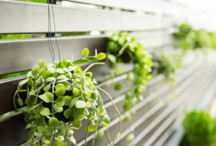 Como fazer jardim vertical barato​