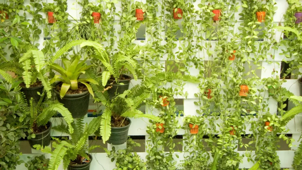 Como fazer jardim vertical barato​