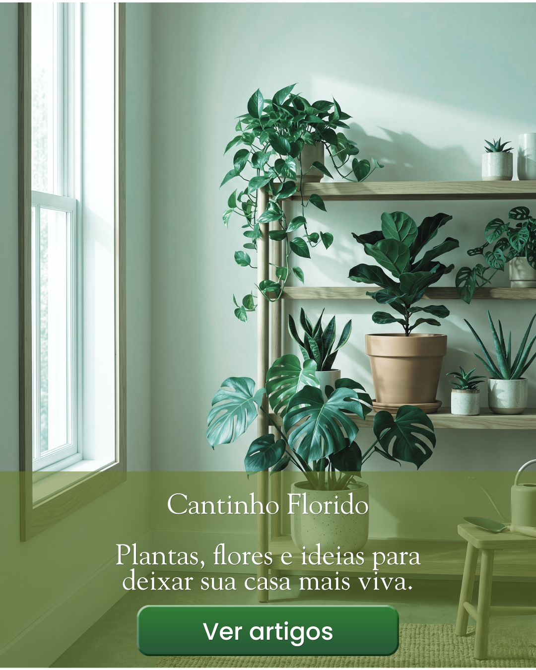 Dicas simples para cultivar plantas e flores lindas em casa