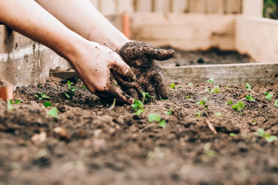Jardinagem para Iniciantes: Guia Completo para Criar um Jardim Saudável