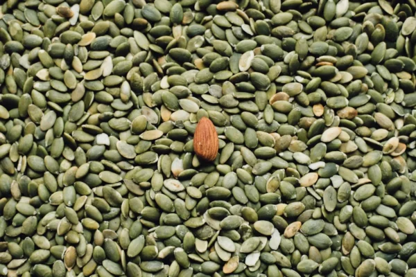 Como germinar sementes