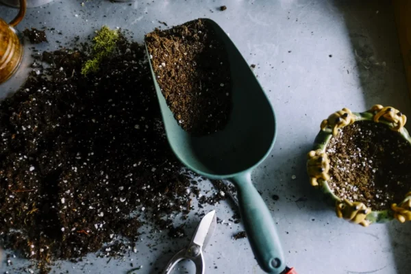 Como preparar o solo para plantas