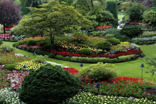 Ideias para jardim pequeno