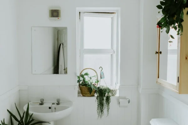 Plantas para banheiro