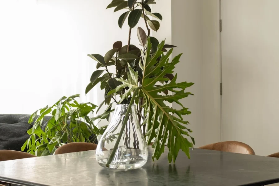 Plantas para cozinha