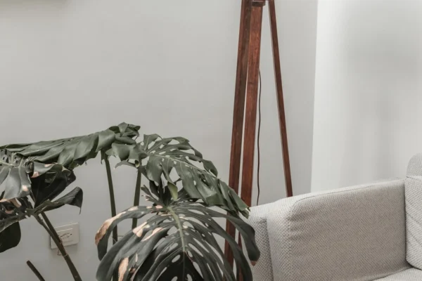 Plantas para sala